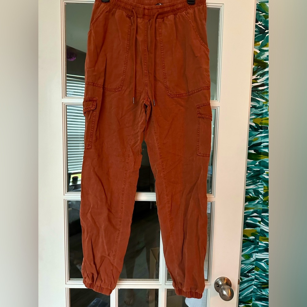 7 For All Mankind Rust Joggers
